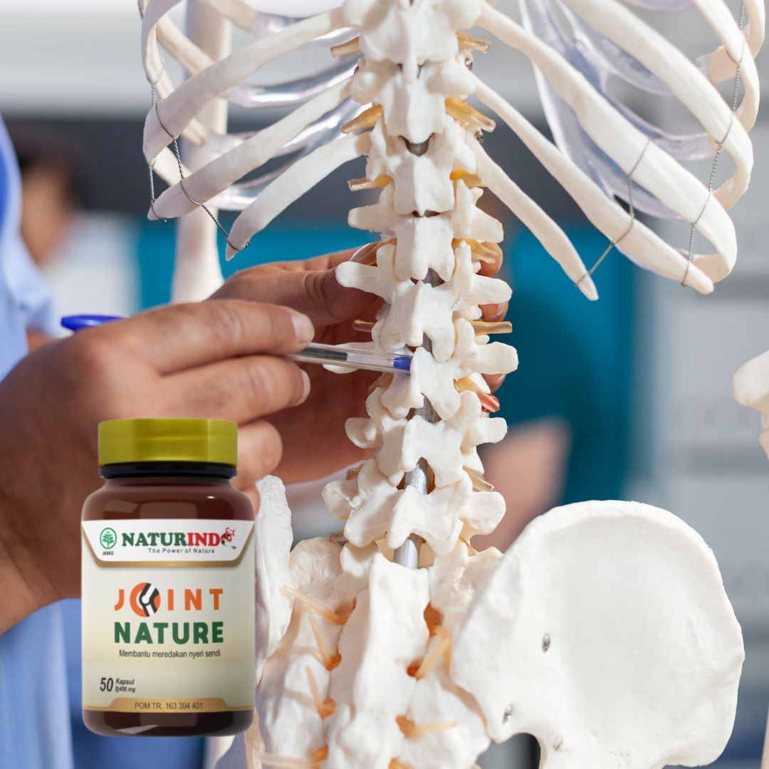 Obat Pengapuran Tulang