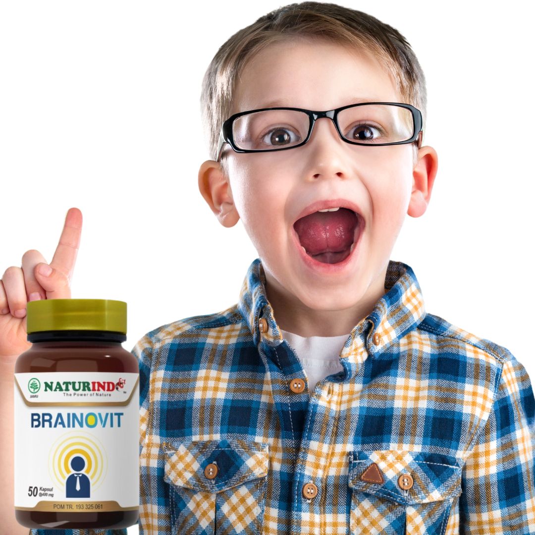 Obat Herbal untuk Daya Ingat