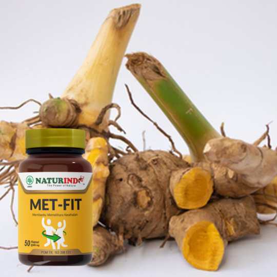 10 Alasan Mengapa Rimpang Temulawak Bisa Menjaga Metabolisme Tubuh