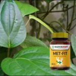 Manfaat Daun Kemukus untuk Menjaga Metabolisme Tubuh