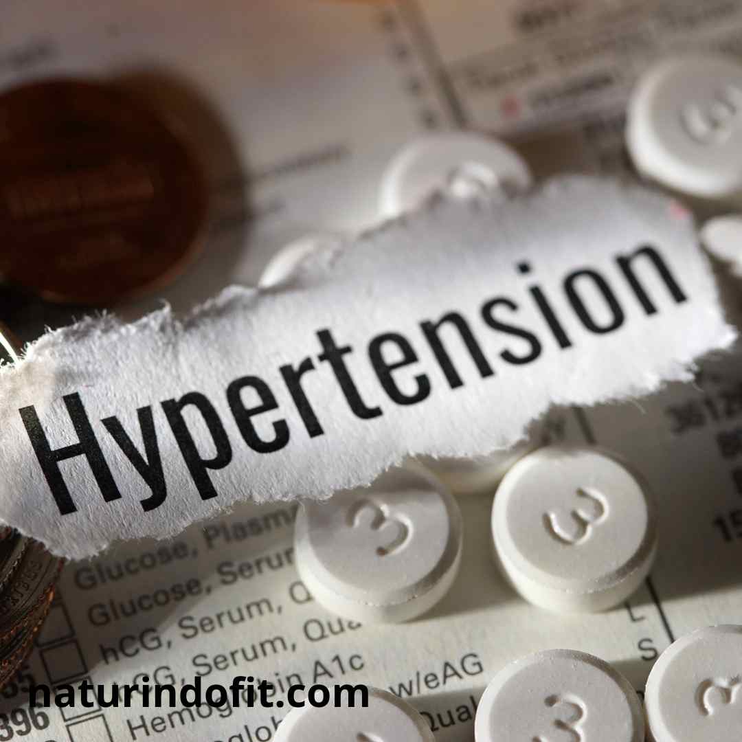 obat hipertensi paling ampuh